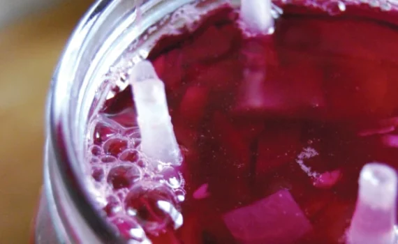 Crauti rossi fermentati