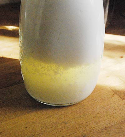 siero-nelkefir