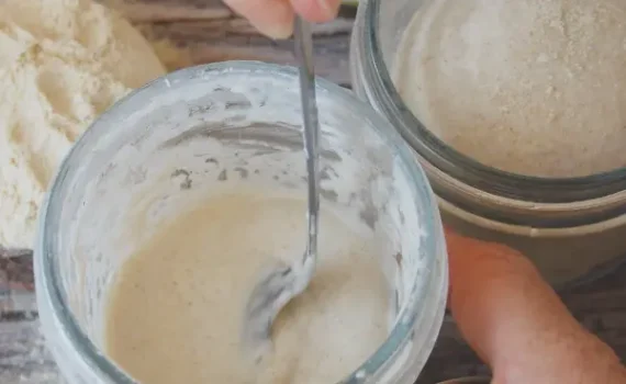 come si rinfresca il lievito madre